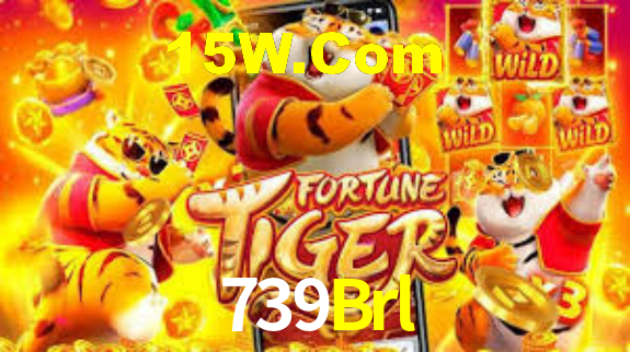 Premium Interface 739Brl